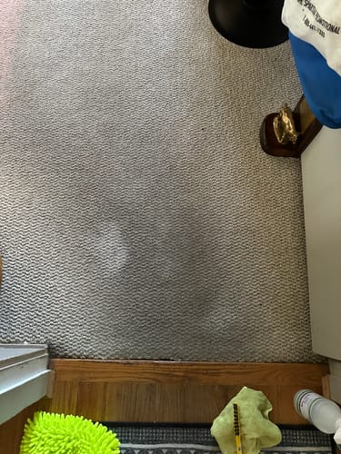 Customer photo review of Green Mitt Kit