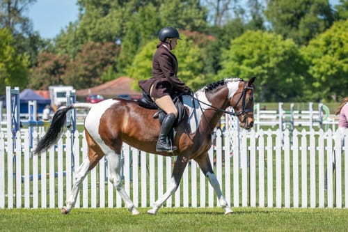 Customer photo review of Equinade Glo White Shampoo