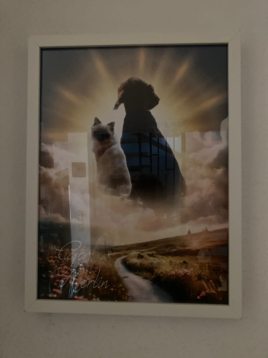 Customer photo review of Personalisiertes Portrait - Sonnen Stil