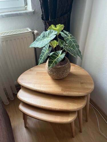 Customer photo review of Ahşap Zigon Sehpa 3'lü Set - Doğal Masif Kestane Ağacı (Ercol Stil)