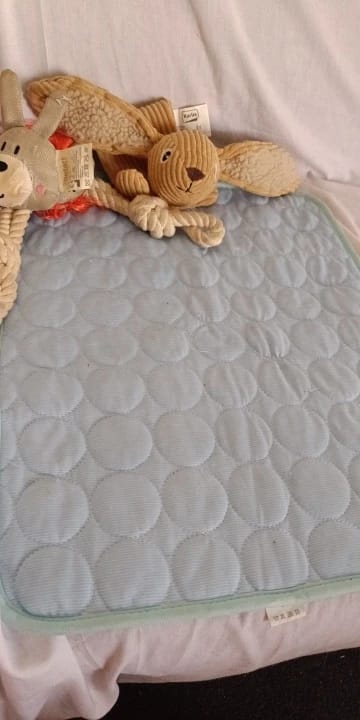 Customer photo review of Summer Cooling Mat for Pets - Extra Large Durable Cold Bed, Ice Pad, and Blanket for Dogs and Cats
