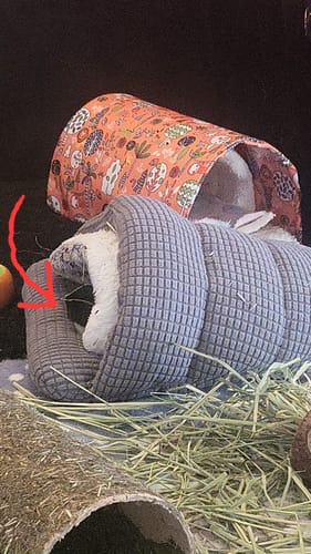 Customer photo review of Timothy Hay Box 'Coarse Cut'