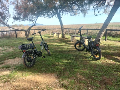 Customer photo review of Engwe L20 SE 250W 20" Foldable Electric Trekking Bike 15.6Ah Step-through E-bike