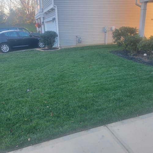 Customer photo review of GCI Turf 30-0-0 G