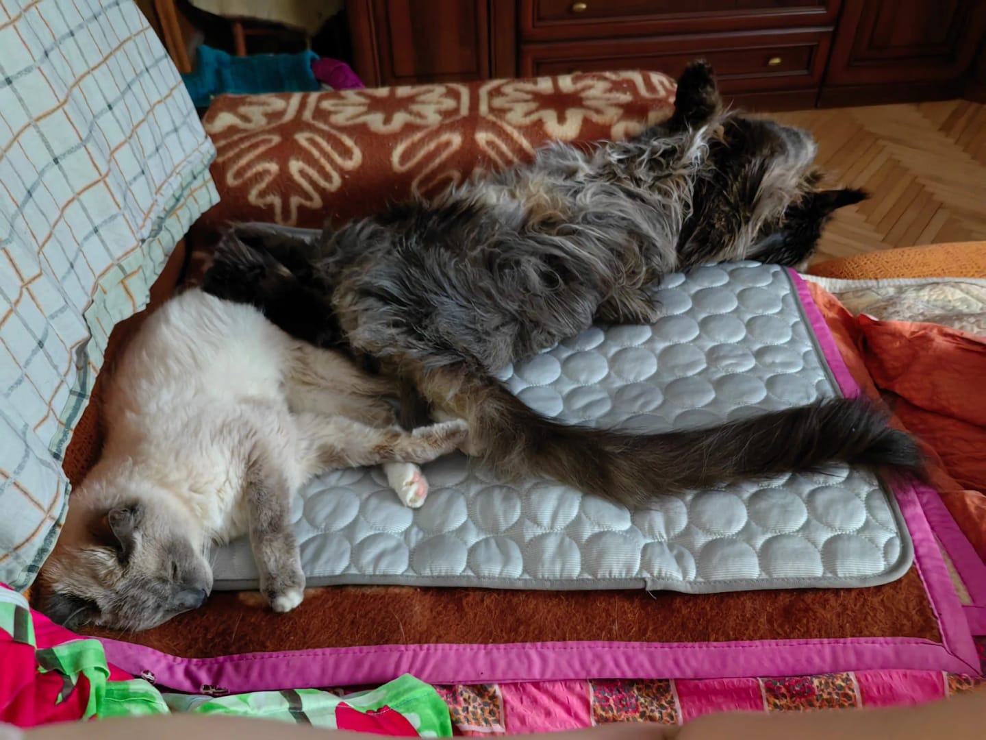 Customer photo review of Summer Cooling Mat for Pets - Extra Large Durable Cold Bed, Ice Pad, and Blanket for Dogs and Cats
