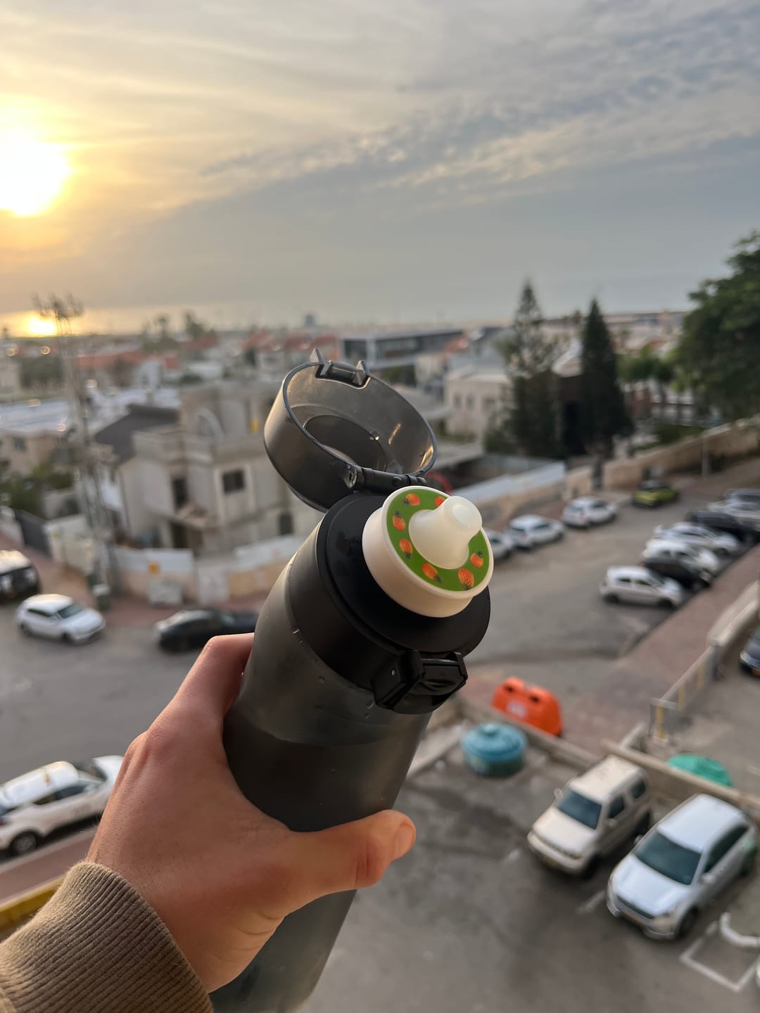Customer photo review of Savory Bottle