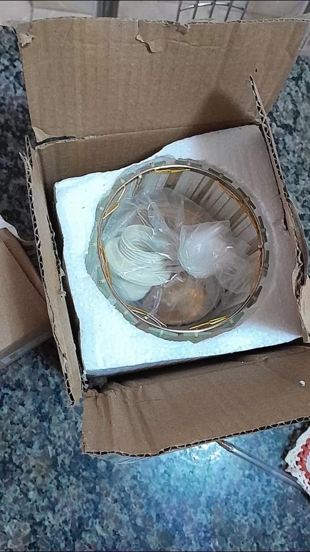 Customer photo review of Luminária de Teto Sofisticada Cúpula de Vidro Bivolt
