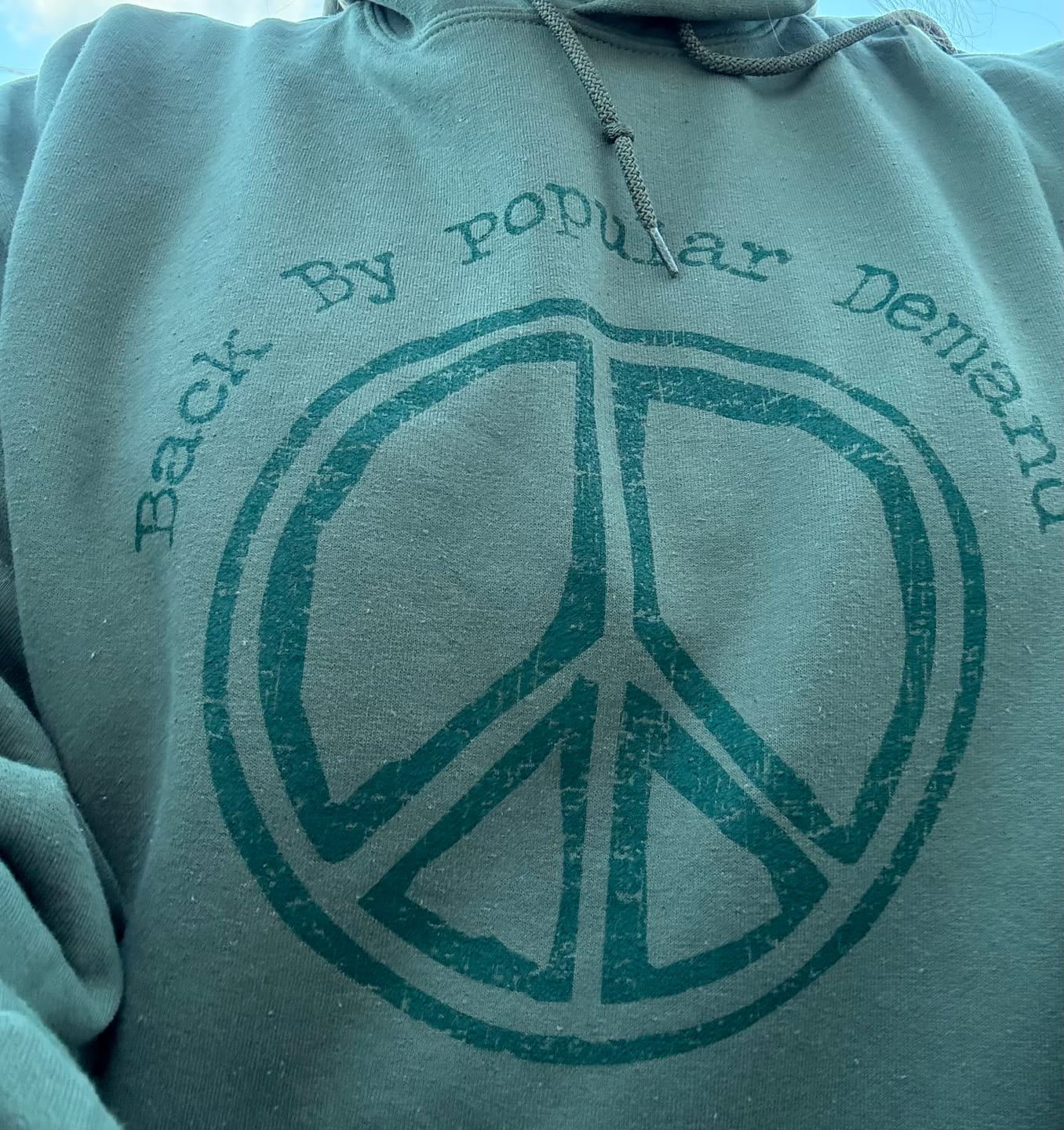 Customer photo review of Back By Popular Demand Hoodie