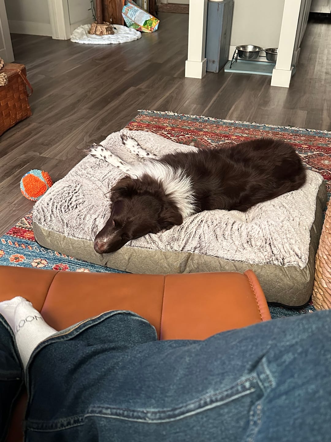 Customer photo review of Original GuineaDad Liner