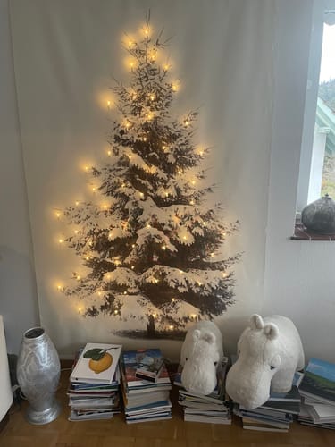 Customer photo review of The Hippo