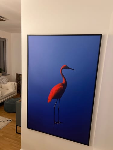 Customer photo review of Rosso Blu