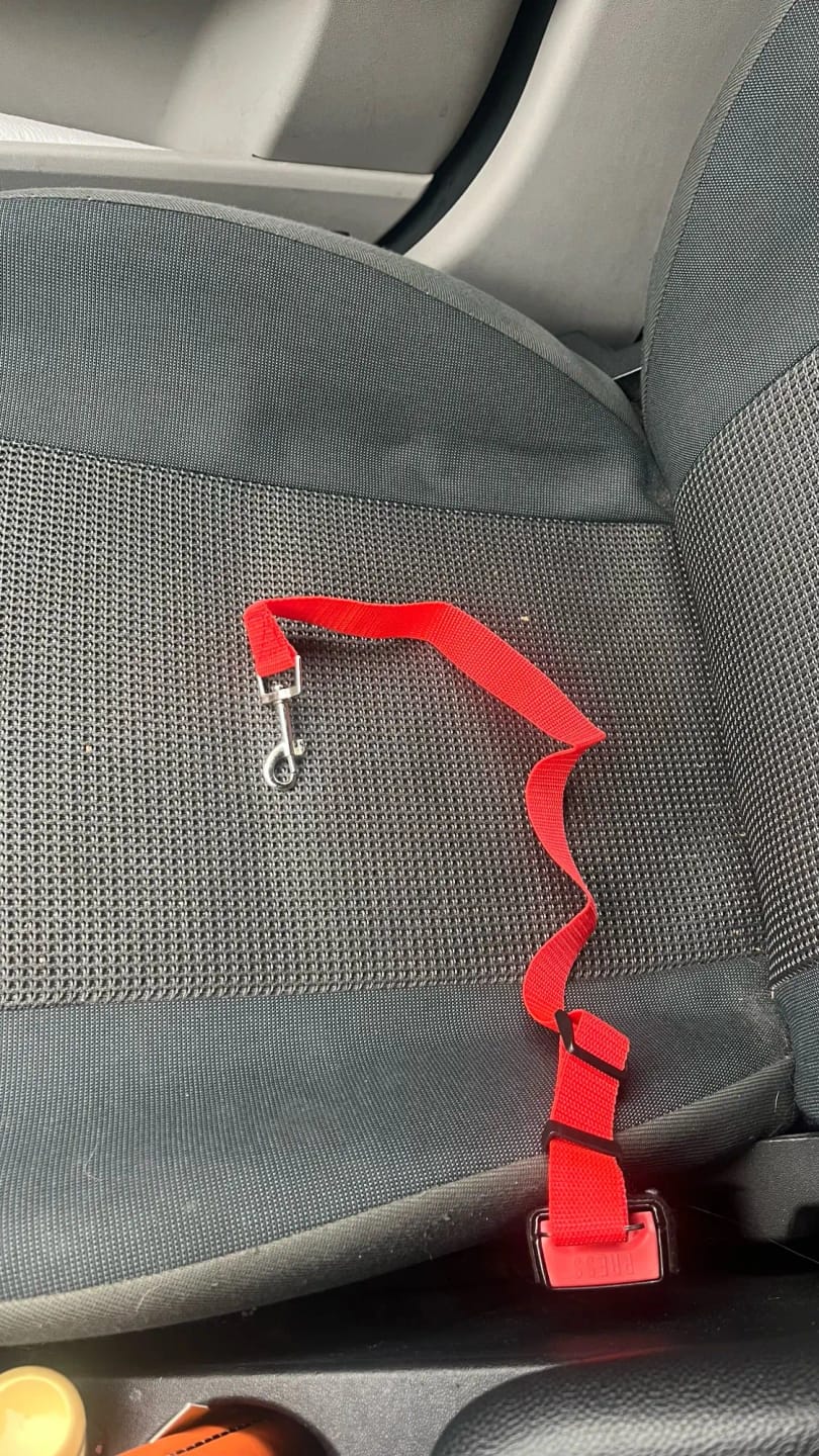 Customer photo review of Vehicle Safety Belt for Pets - Adjustable Harness with Lead Clip for Dogs and Cats