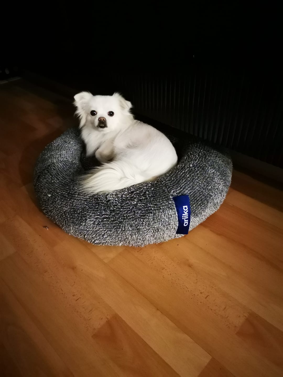 Customer photo review of Snoozy Pet Bed