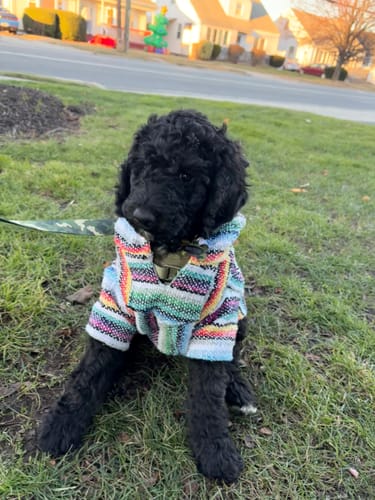 Customer photo review of Free & Easy Return or Exchange Coverage + Package Protection