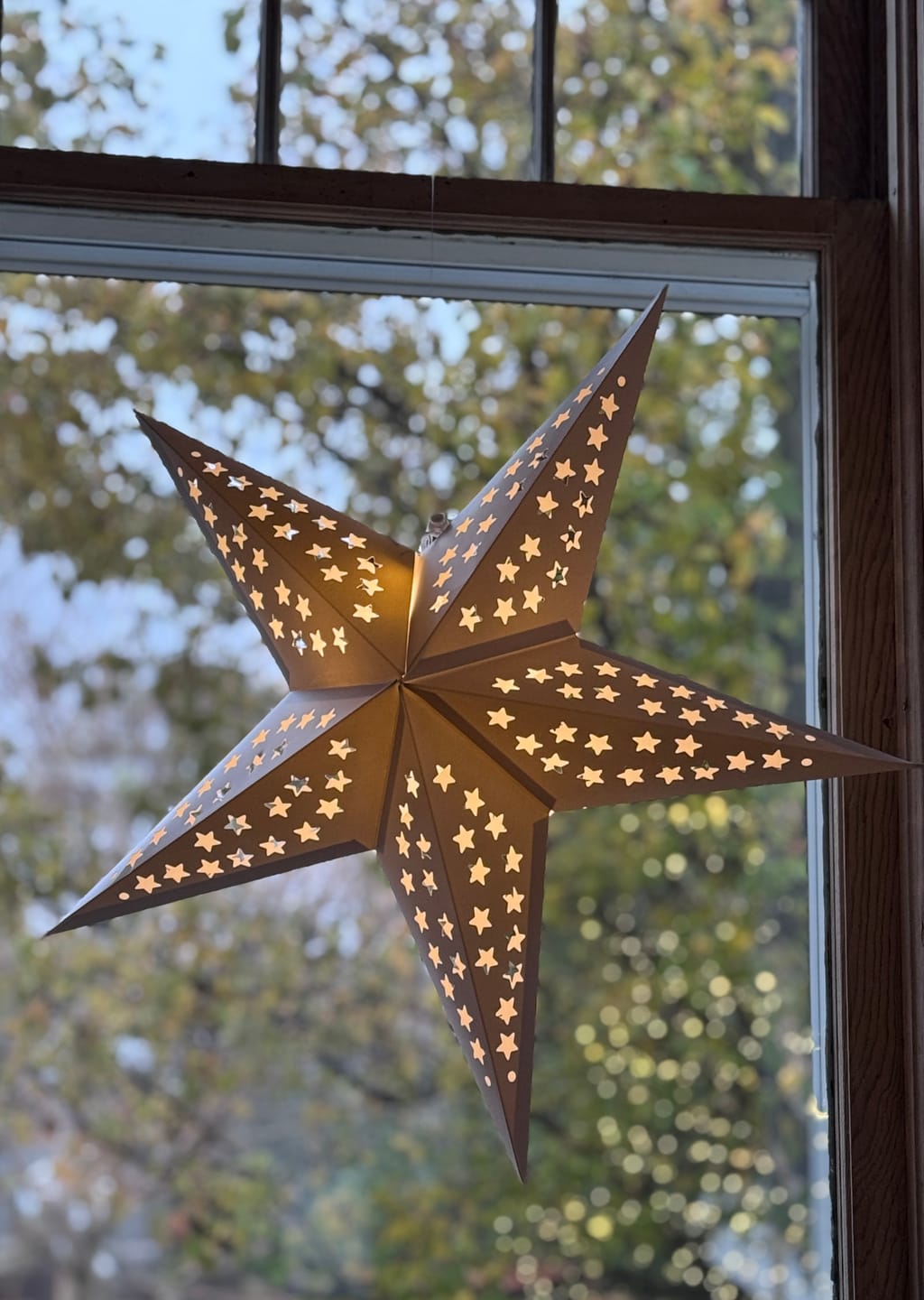 Customer photo review of 24" Solid White Stars Cut-Out Paper Star Lantern, Hanging Wedding & Party Decoration