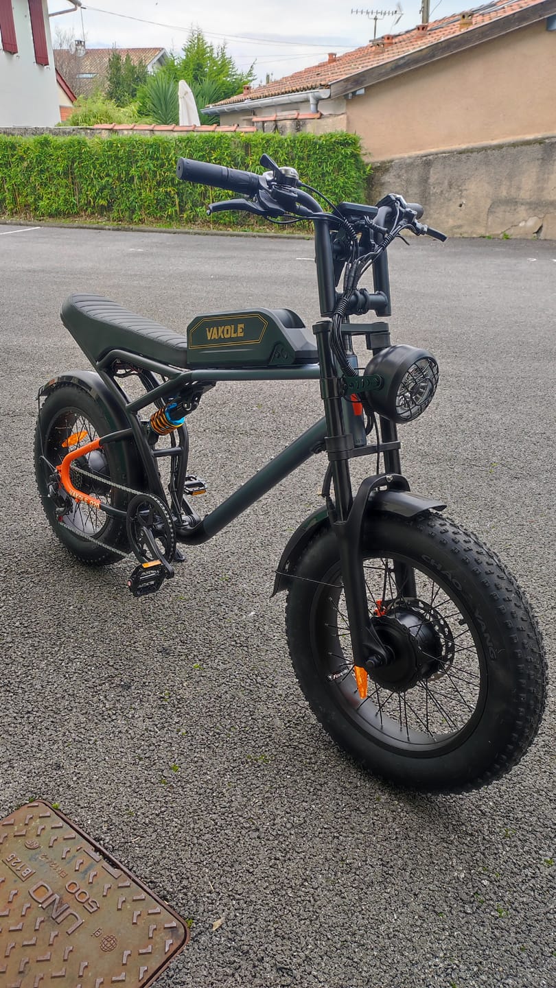 Customer photo review of Vakole Q20 MAX 750W*2 Dual Motor 20" Fat Bike Full Suspension E-Mountain Bike EMTB 48V 20Ah Samsung Battery