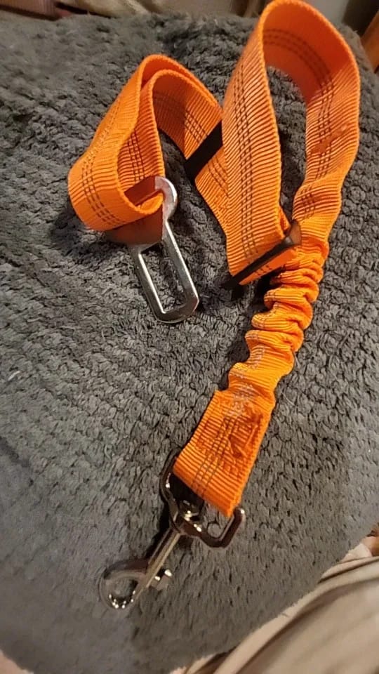 Customer photo review of Vehicle Safety Belt for Pets - Adjustable Harness with Lead Clip for Dogs and Cats