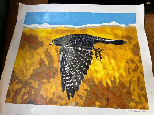 Customer photo review of The New Zealand Falcon