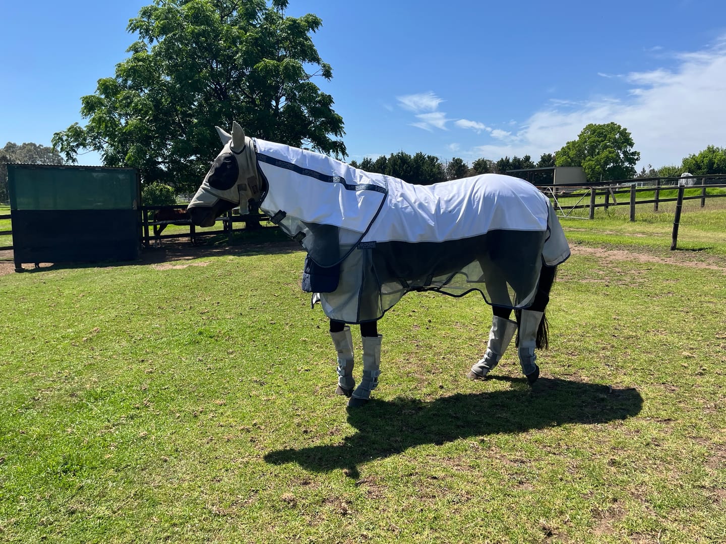 Customer photo review of LE Breeze Summer Sheet with Fieldsafe Front