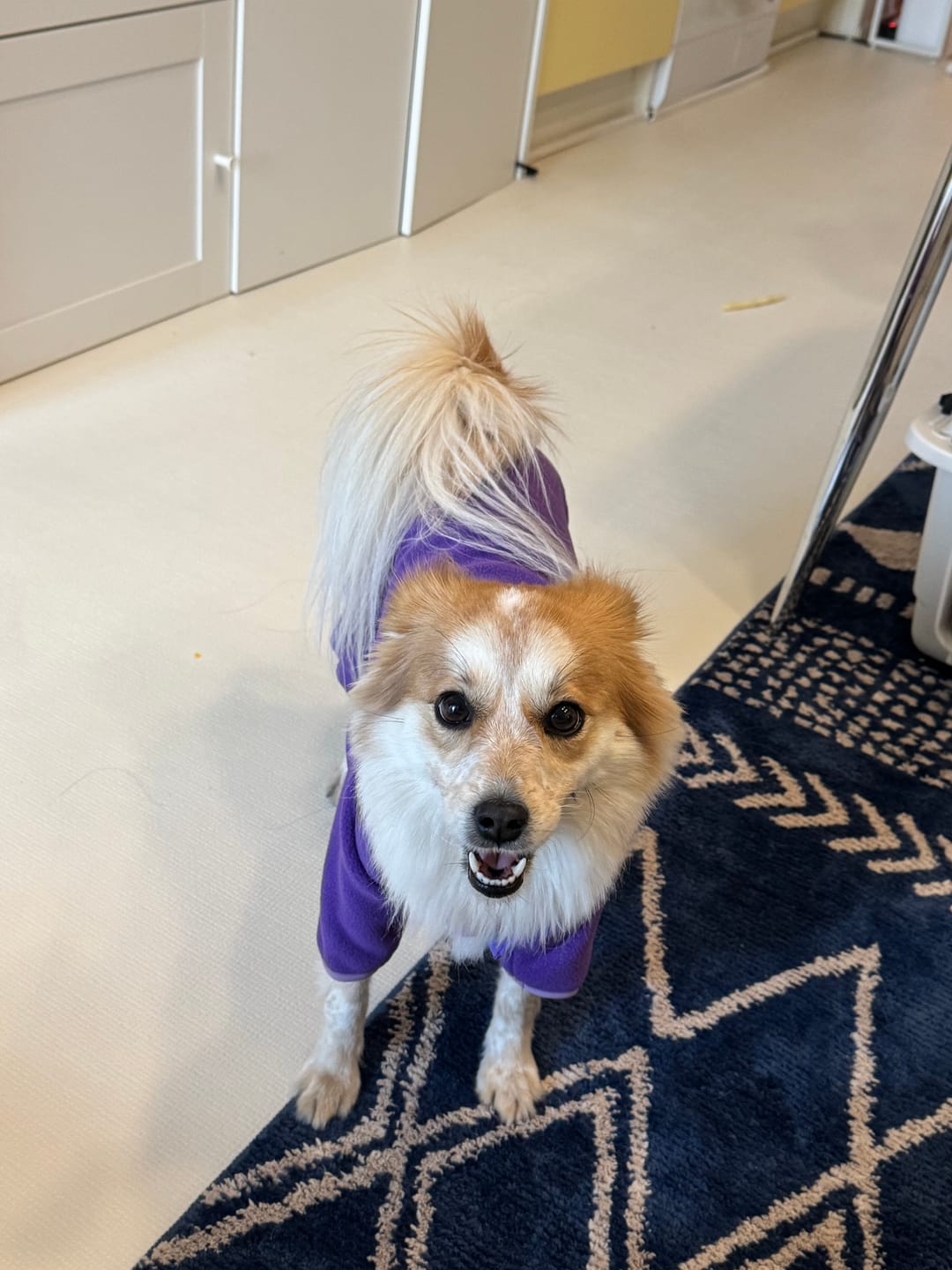 Customer photo review of NEW Fleece Pull-Over