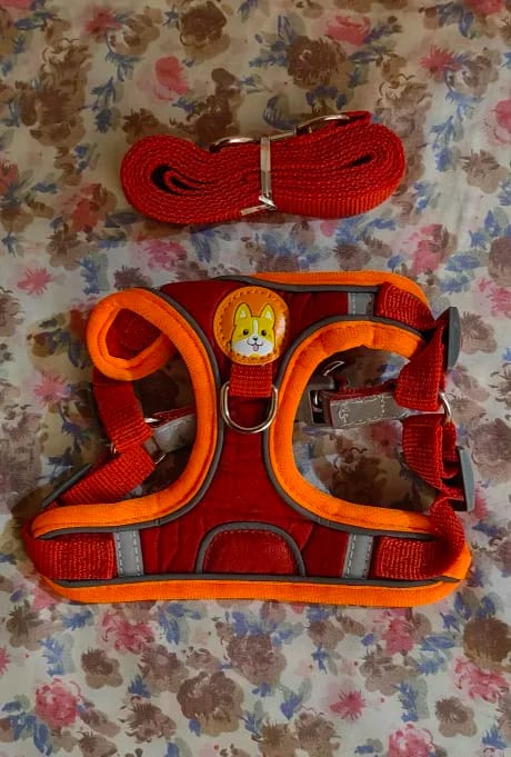 Customer photo review of Reflective Dog Harness and Leash Set - Adjustable Vest and Chest Strap for Puppies and Small to Medium Breeds