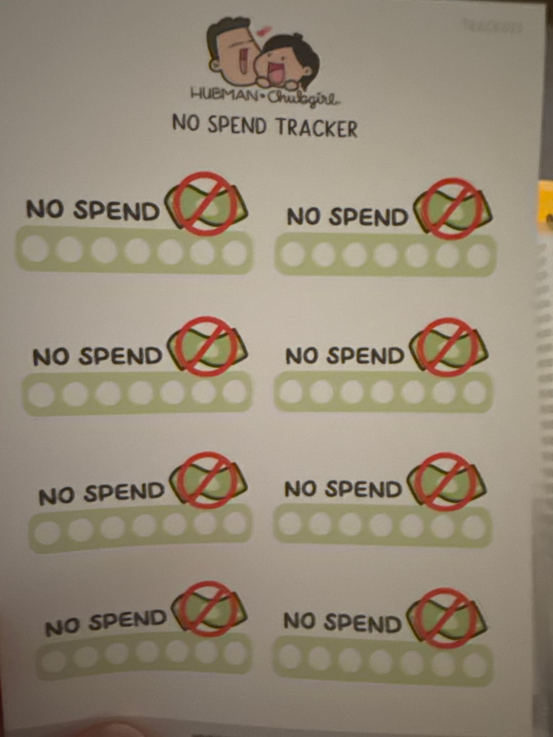 Customer photo review of No Spend Tracker Planner Stickers