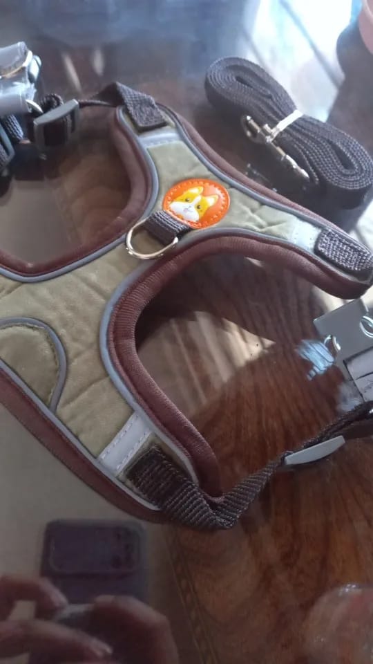 Customer photo review of Reflective Dog Harness and Leash Set - Adjustable Vest and Chest Strap for Puppies and Small to Medium Breeds