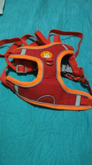 Customer photo review of Reflective Dog Harness and Leash Set - Adjustable Vest and Chest Strap for Puppies and Small to Medium Breeds