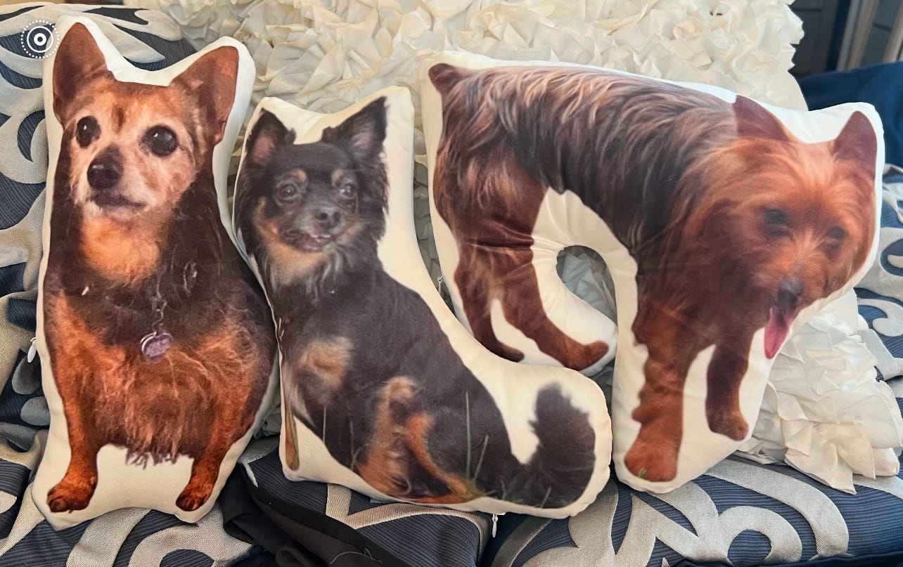 Customer photo review of Custom Shaped Pillow with Loved One Picture of Person/Pet Personalized 3d Photo Pillow