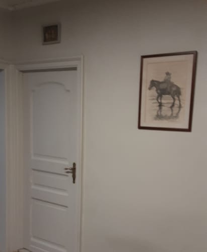 Customer photo review of Levis Ambiance Lak Mat Leem 0,75L