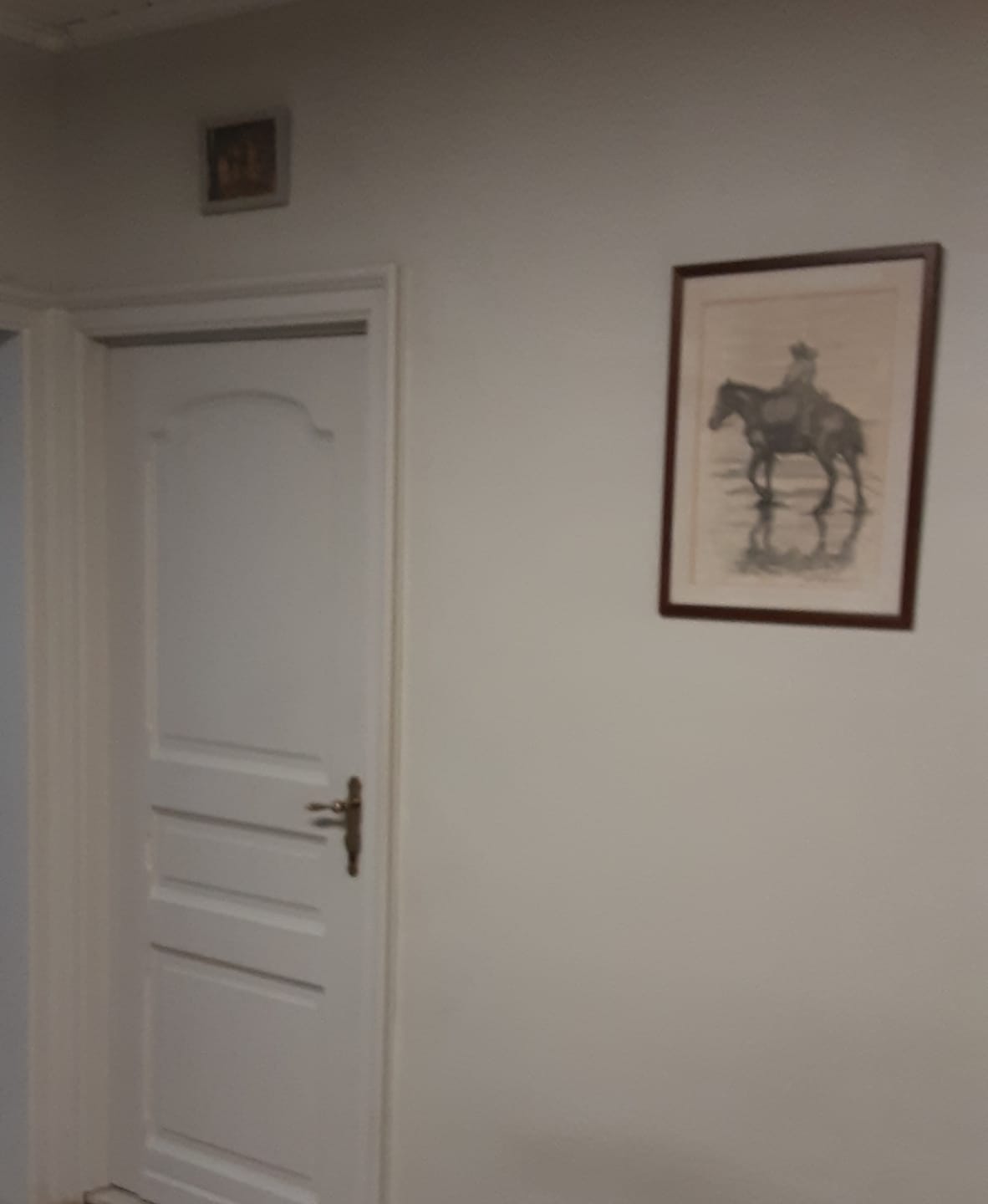 Customer photo review of Levis Ambiance Lak Mat Leem 0,75L