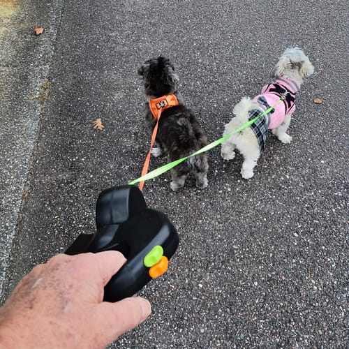 Customer photo review of TangleFree