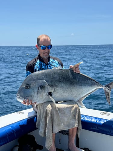 Customer photo review of T PRIMA 💰