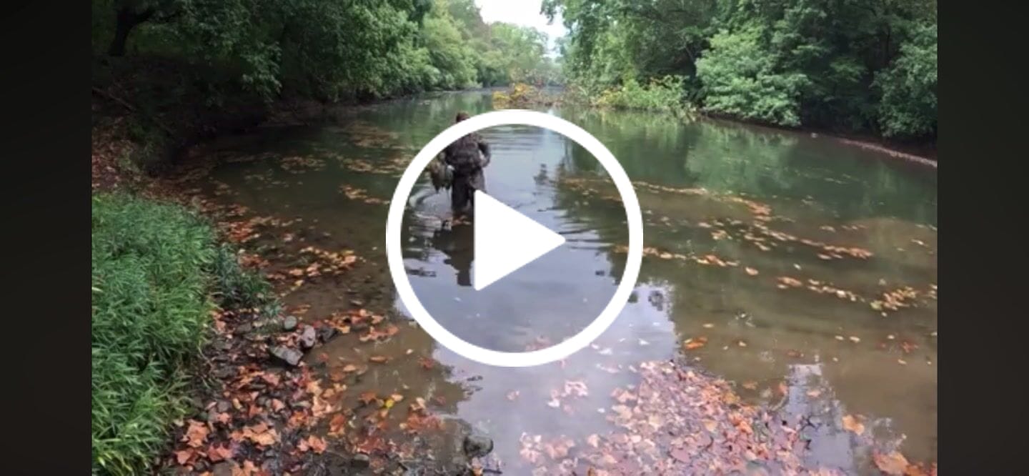 Customer video review of AquaWade Pro Insulated Duck Waterfowl Hunting Breathable Chest Waders