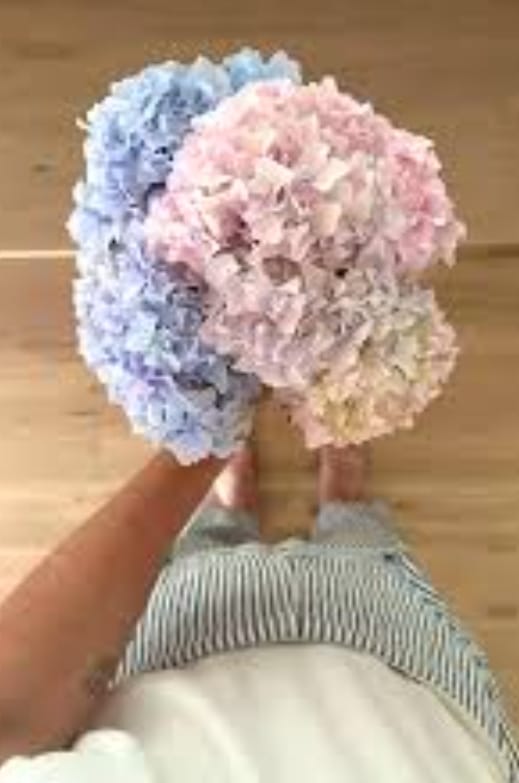 Customer photo review of Market Bunch