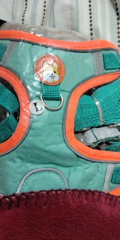 Customer photo review of Reflective Dog Harness and Leash Set - Adjustable Vest and Chest Strap for Puppies and Small to Medium Breeds