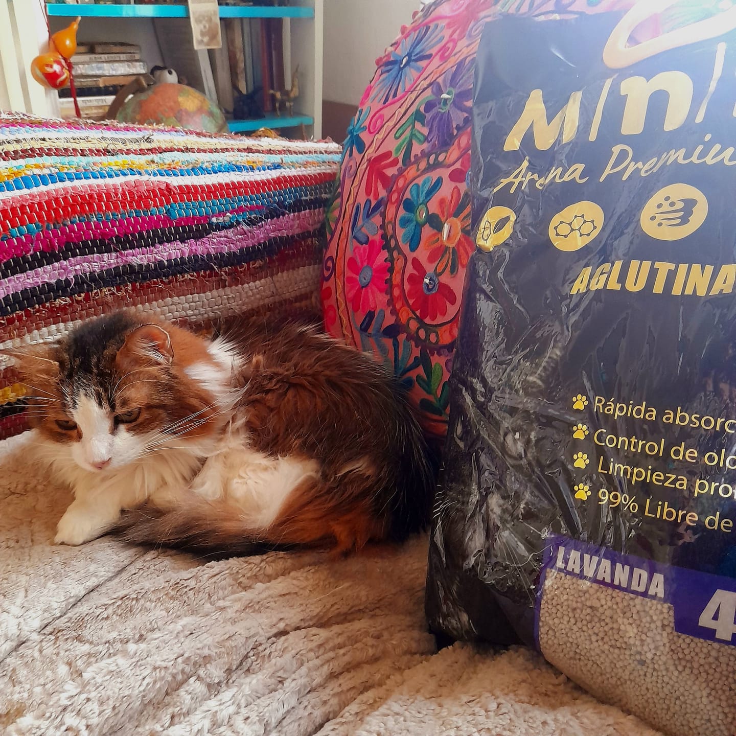 Customer photo review of Arena Minino Aglutinante 20kg