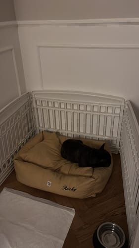 Customer photo review of Divanetto Mattias Senape (Soft Touch)