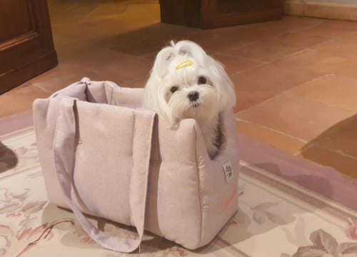 Customer photo review of Trasportino Mattias Rosa Tenue (Soft Touch)