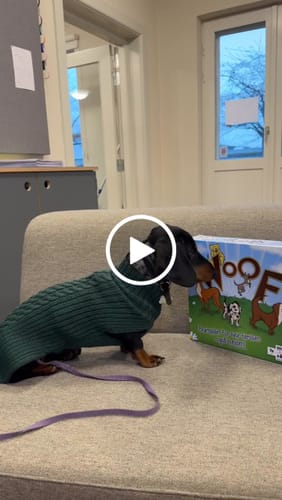 Customer video review of Woof - Brætspil for hele familien