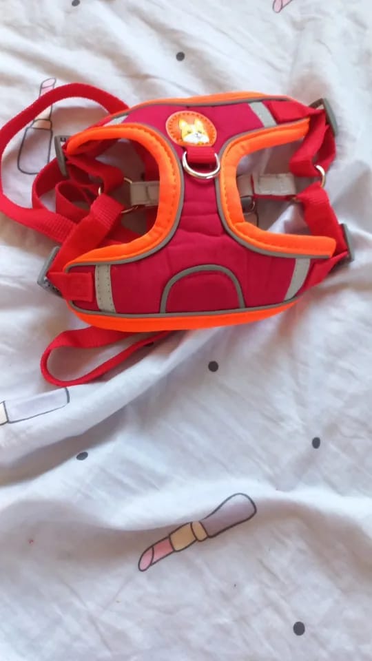 Customer photo review of Reflective Dog Harness and Leash Set - Adjustable Vest and Chest Strap for Puppies and Small to Medium Breeds
