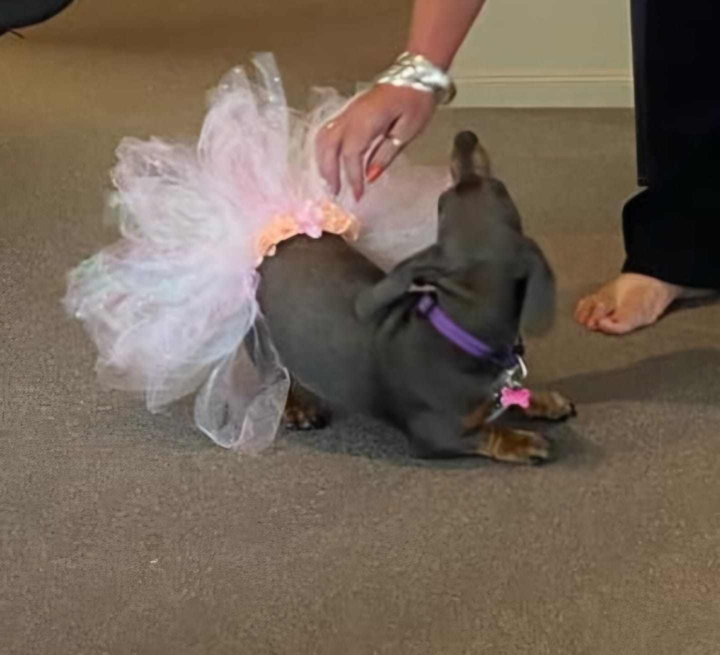 Customer photo review of Tutu - Tinka