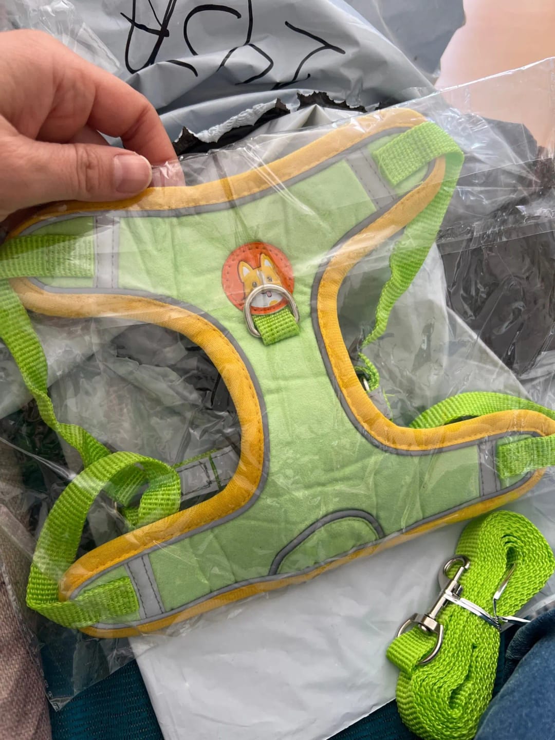Customer photo review of Reflective Dog Harness and Leash Set - Adjustable Vest and Chest Strap for Puppies and Small to Medium Breeds