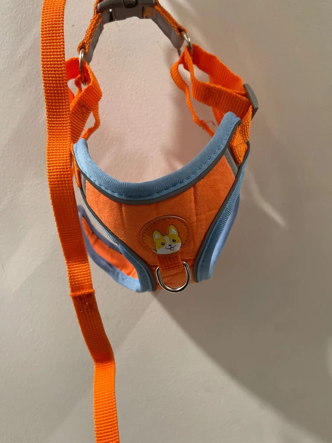 Customer photo review of Reflective Dog Harness and Leash Set - Adjustable Vest and Chest Strap for Puppies and Small to Medium Breeds