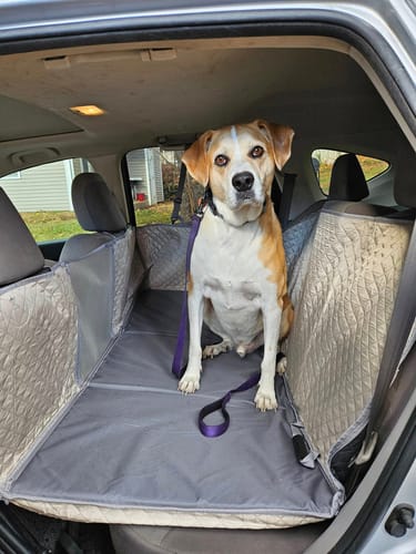 Customer photo review of NEW Waterproof Hard Bottom Car & Truck Seat Foldable Hammock Cover With Storage Pockets, Side Flaps, Headrest Straps, Seat Anchors, & Mesh Window (+FREE SAFETY BELT!)