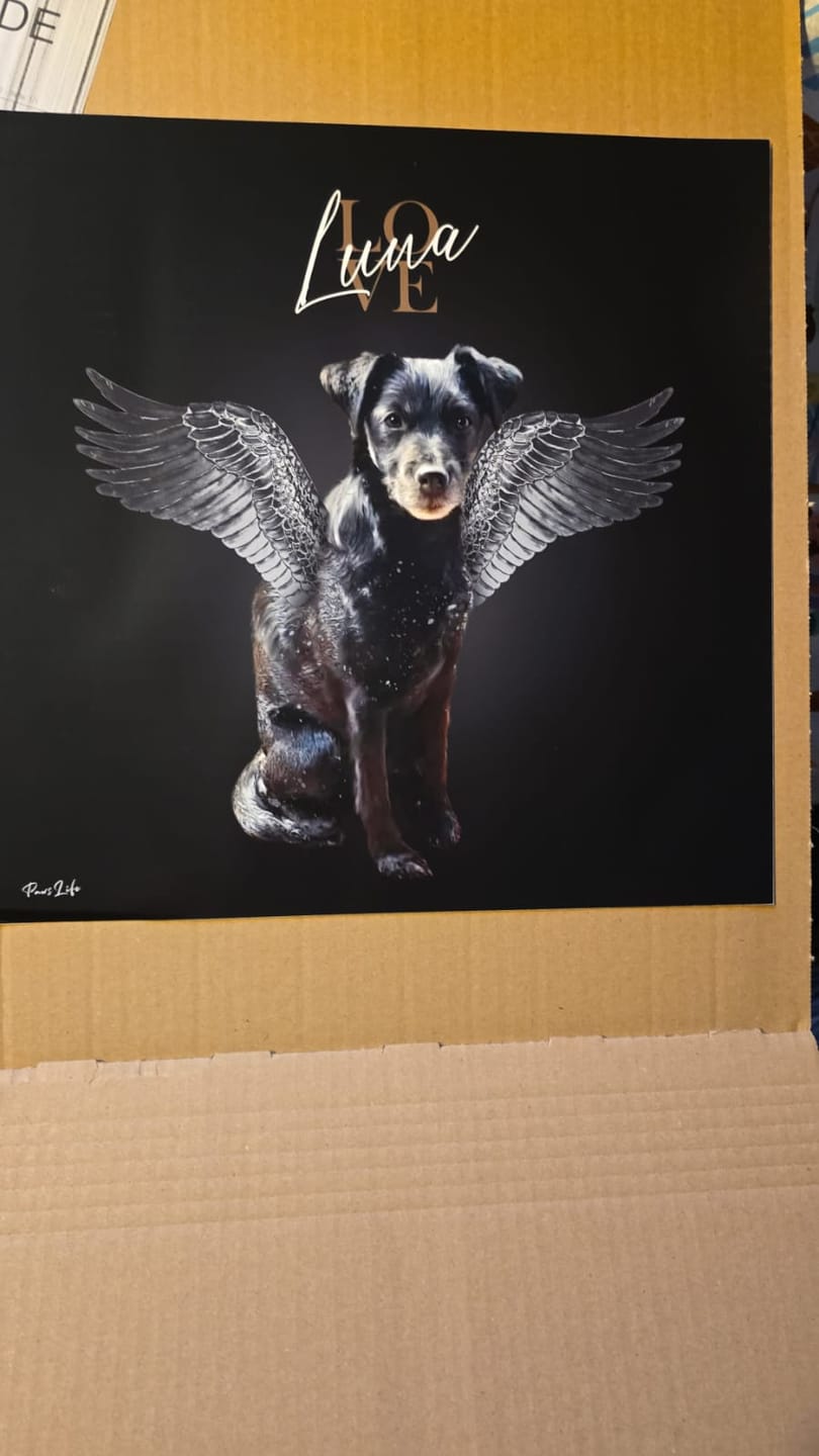 Customer photo review of Personalisiertes Portrait - Silberner Engel Stil