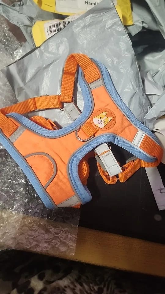 Customer photo review of Reflective Dog Harness and Leash Set - Adjustable Vest and Chest Strap for Puppies and Small to Medium Breeds