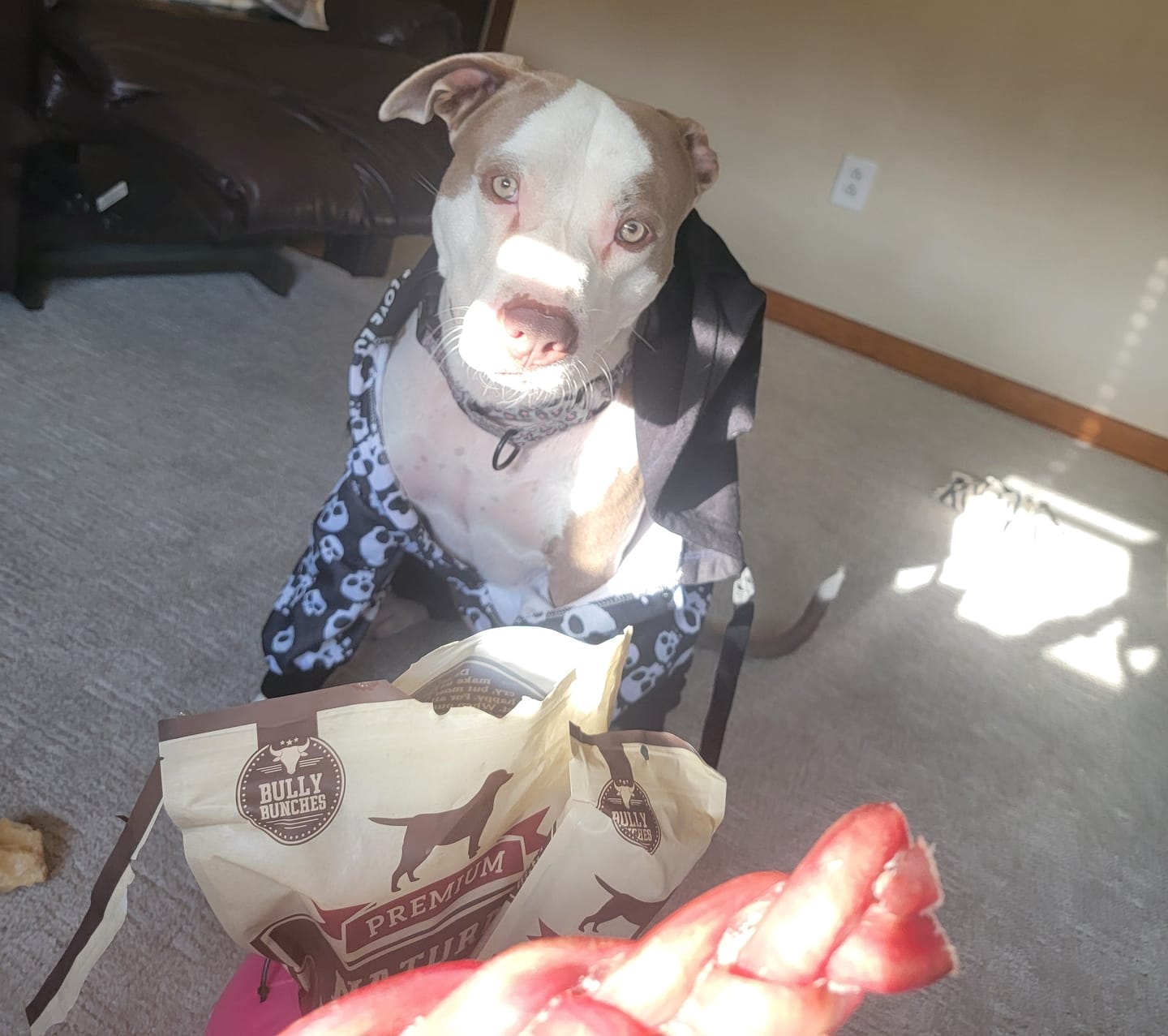 Customer photo review of 12 Inch Beef Jerky Stick