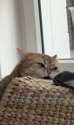 Customer photo review of Sleek Skin Serum 30ml