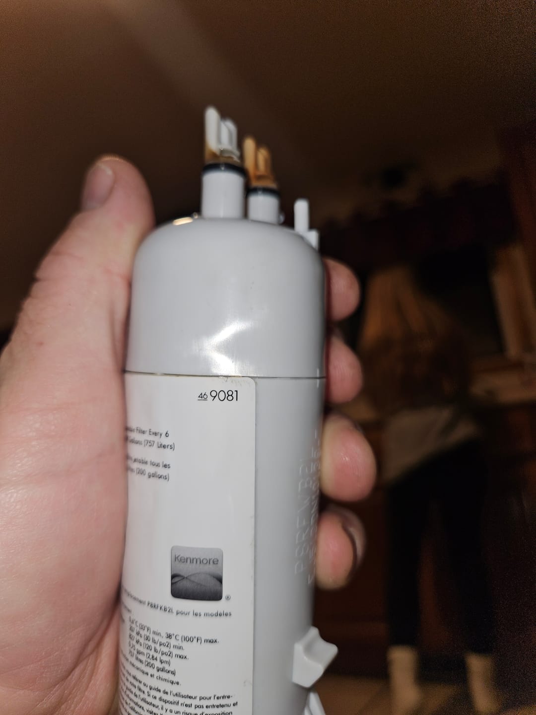 Customer photo review of Kenmore 9081 Replacement Refrigerator Water Filter 1 Pack